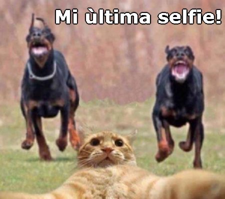 ForumEA/N/mi ultima selfie.jpg
